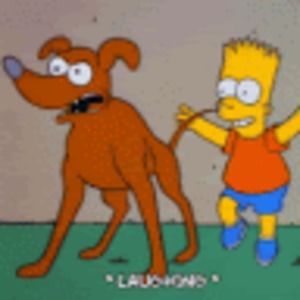 Meet your Posher, Scarlett